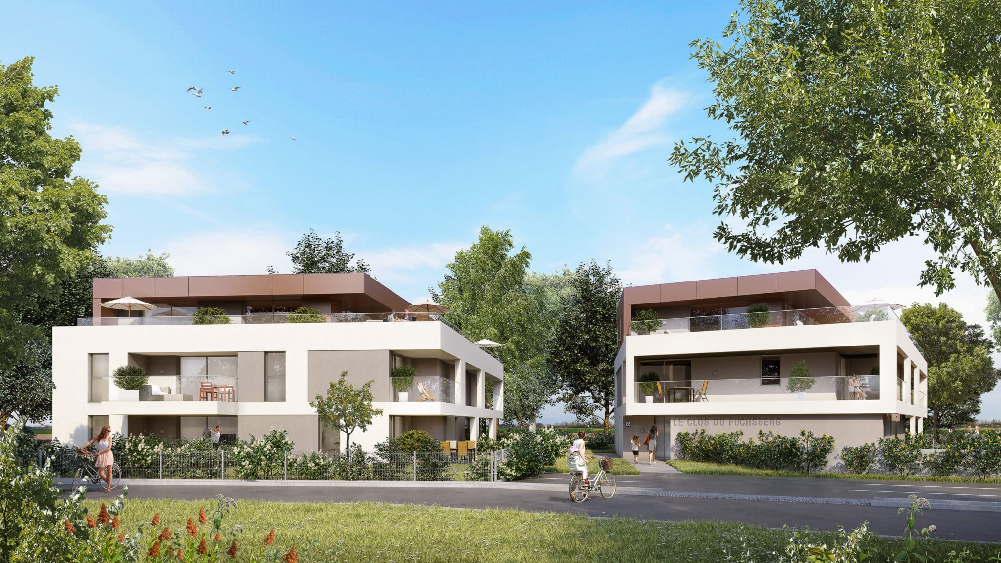 Vue perspective du Clos du Fuchsberg à Riedisheim