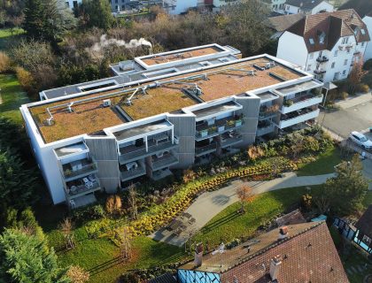 Vue aérienne des hirondelles à hésingue